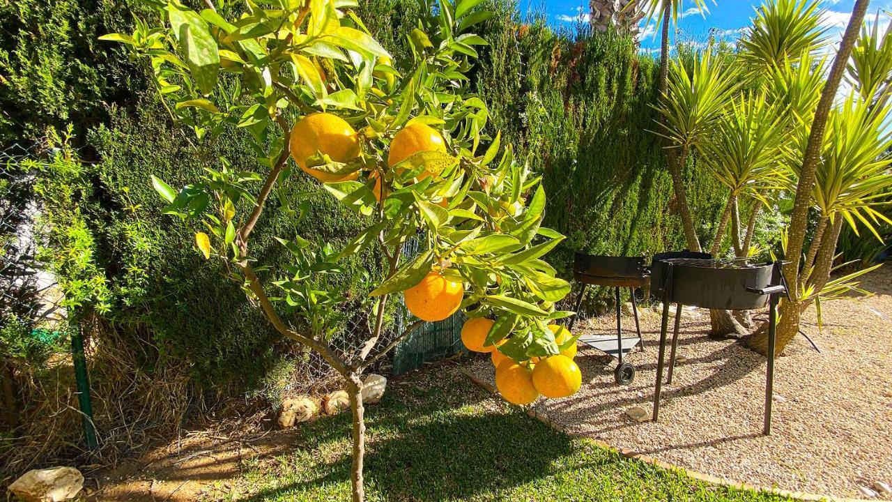 Villa El Palmar II Denia Bagian luar foto